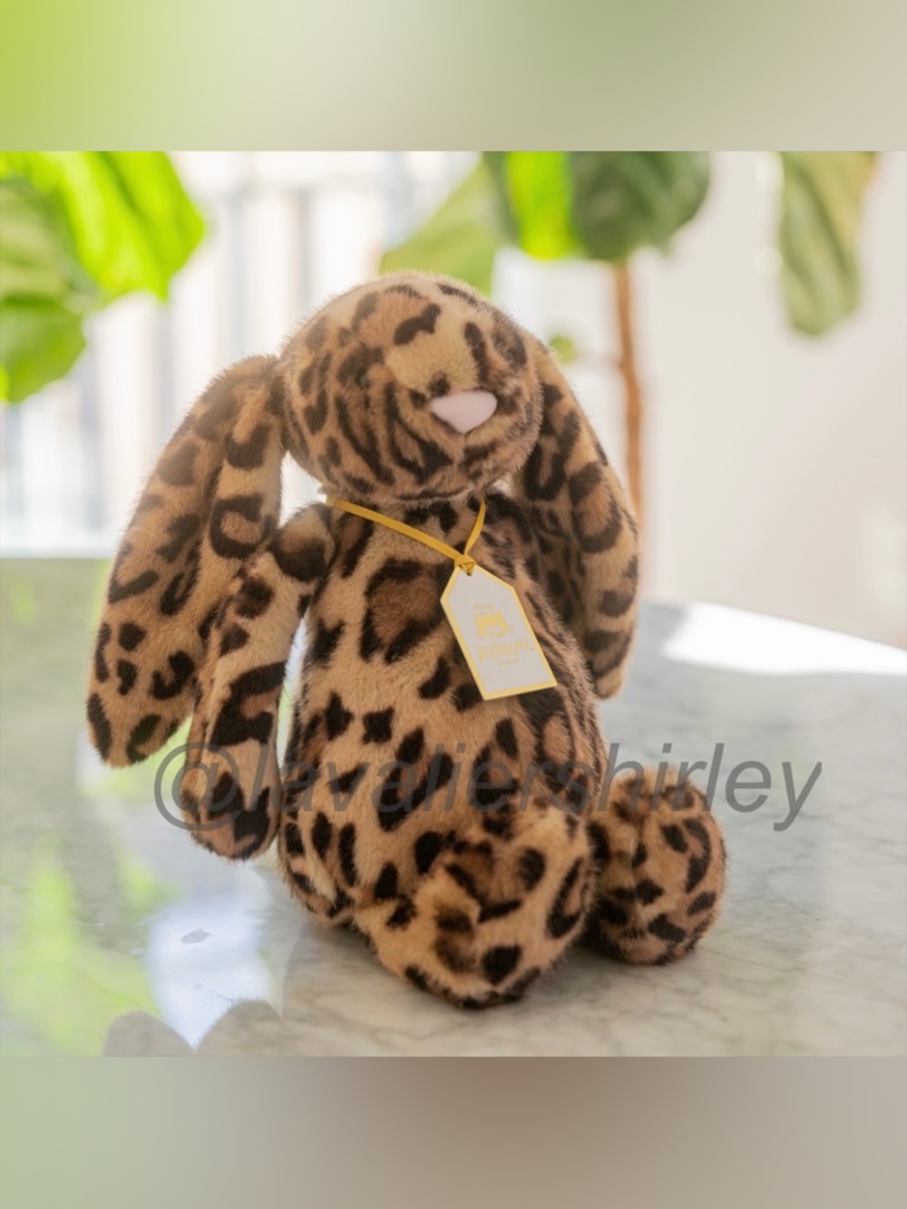 Jellycat Cobblehop Bunny Ruby Cruiser Exclusive NWT Authentic